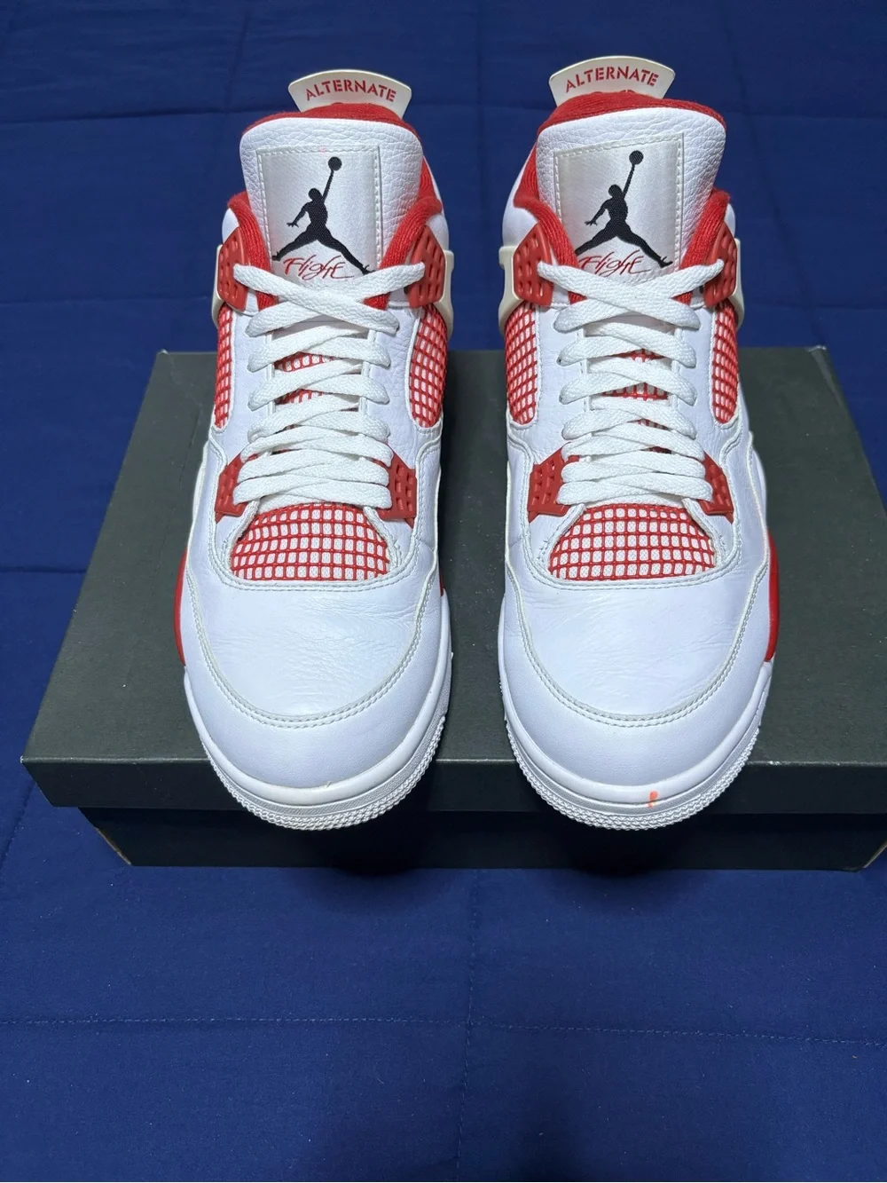 Jordan 4 Retro OG Alternate 89 Size 11